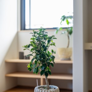 工務店が建てたデザイン住宅事例71